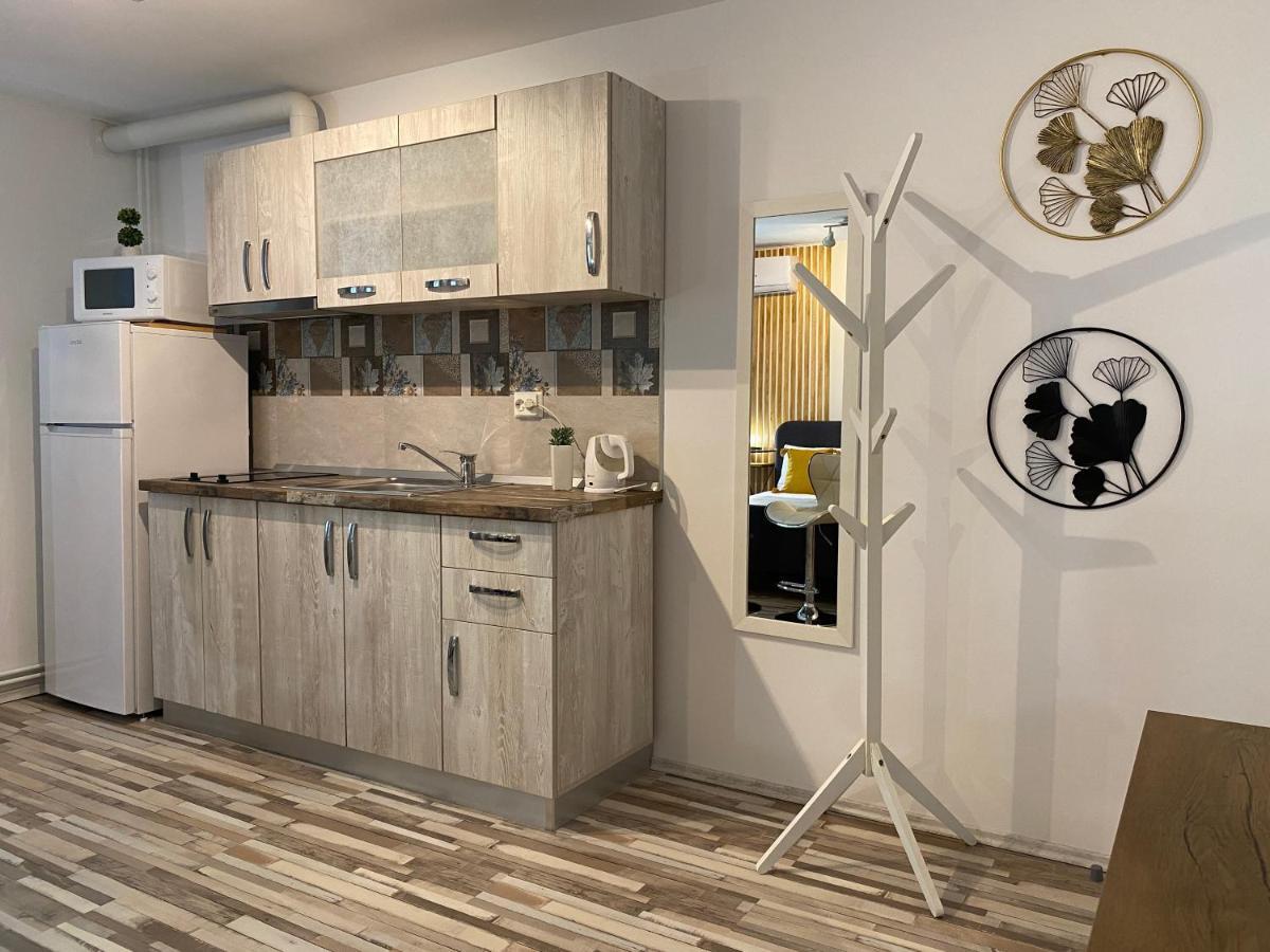 Urseni Studio Apartment Timişoara Exterior foto
